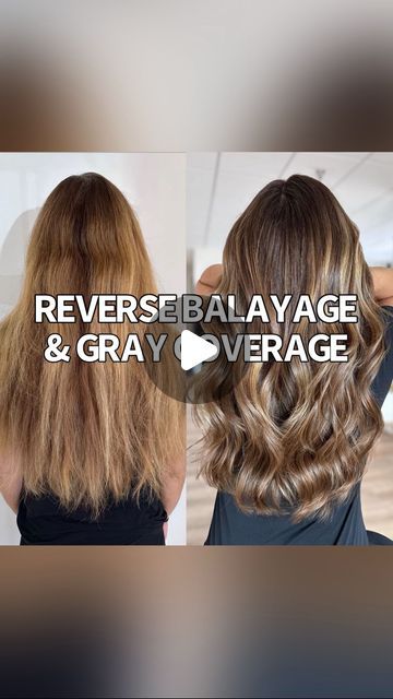 Adina Pignatare | BALAYAGE | HAIR VIDEOS | EDUCATOR on Instagram: "Reverse Balayage meets Gray Coverage 🤝 I utilized her existing blonde to mimic a balayage look   iNOA is the most natural coverage I have ever used. It’s my go to color for gray coverage 👇  FORMULA: started with #metaldetox   Gray coverage/ Reverse Balayage equal parts of 6N 6.3 & 6.32 with 20 Volume   All over gloss #dialight 6.13 and 9 Volume.   #inoa covers up to 100% gray. It’s vegan. Ammonia and fragrance free. Feels super comfortable on the scalp. Has an oil delivery system - the shine is unmatched!   - I applied her color to her roots first.  - I added in dimension by applying the same color throughout her ends.  - I added in depth by smudging down the color from the roots to mids!   #lorealpro #lorealproambassador Reverse Balayage Gray Hair, Brassy Hair Transformation, Blonde Gray Coverage, Blonde To Cover Gray Roots, Reverse Balayage Formula, Root Smudge Blonde Balayage, Reverse Balayage Blonde, Balayage Hair Videos, Root Smudge Blonde