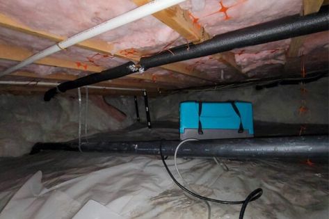 Water in a Crawl Space Can Wreak Havoc On a Home—Here's What to Do About It - Bob Vila Exterior Crawl Space Door, Crawl Space Ventilation, Storm Water Drain, Crawl Space Vapor Barrier, Crawl Space Encapsulation, Water Puddle, Water Issues, Gutter Guard, Mold Remediation