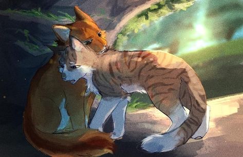 🌿।➳×❛ ʟᴇᴀғᴘᴏᴏʟ on Instagram: “'s ᴘᴏsᴛ ——— [🍁] Squirrelflight and Leafpool ——— [🥠] Question: the last thing you ate + Clan = Clan you belong ——— [🍭] My answer:…” Cats Books, Warrior Cats Series, Warrior Cats Books, Warrior Drawing, Warrior Cats Fan Art, Love Warriors, Warrior Cat Drawings, Warrior Cat Oc, Cat Oc