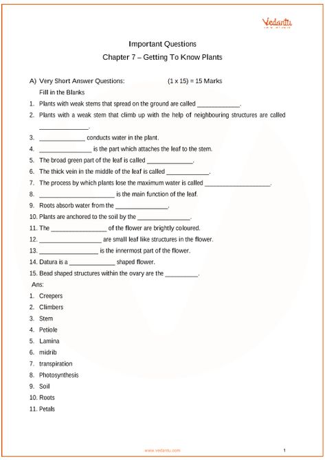 Important Questions Class 6 Science Chapter 7- Getting to Know Plants part-1 Getting To Know Plants Class 6, Class 6 Science Worksheet, Plants Worksheets, Science Revision, Science Quiz, Basic Science, Past Questions, Science Questions, Gk Questions