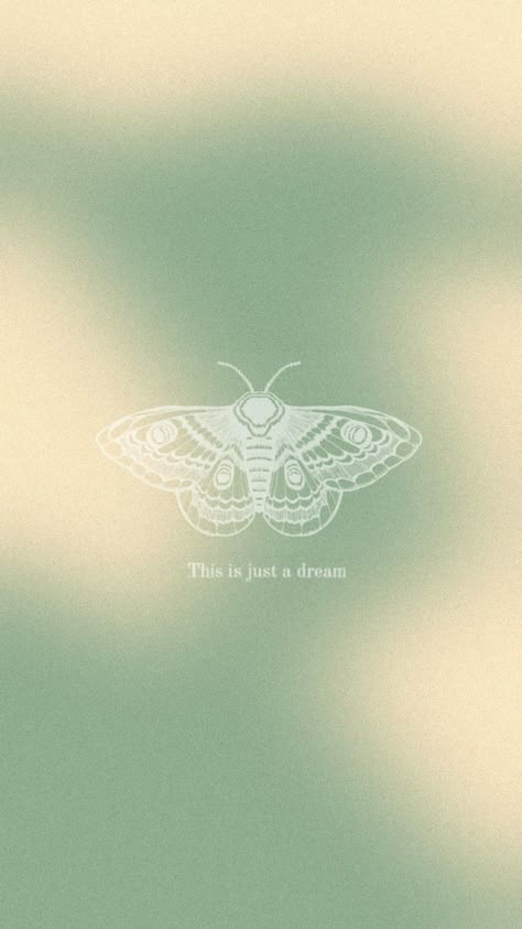 Lunar Moth Wallpaper Iphone, Luna Moth Background, Moth Iphone Wallpaper, Green Moth Wallpaper, Moth Phone Wallpaper, Moth Wallpaper Iphone, Lunar Moth Wallpaper, Moth Wallpaper Aesthetic, Moth Background