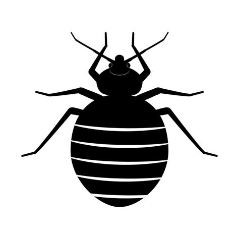 Bed bug. Black silhouette of an insect on a white background. Bedbug vector illustration. A symbol of the danger of a bug bite. Bug Silhouette, Bug Bite, Bed Bug, Bug Bites, A Bug, Bed Bugs, Black Silhouette, A Symbol, Bugs