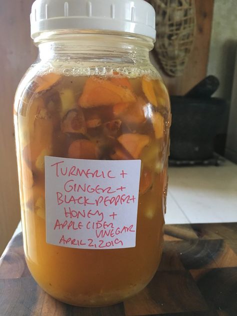 Ginger Oxymel, Oxymel Recipe, Forest Apothecary, Herbalist Recipes, Herbal Wellness, Wellness Practices, Tonic Recipe, Health Tonic, Medicine Chest