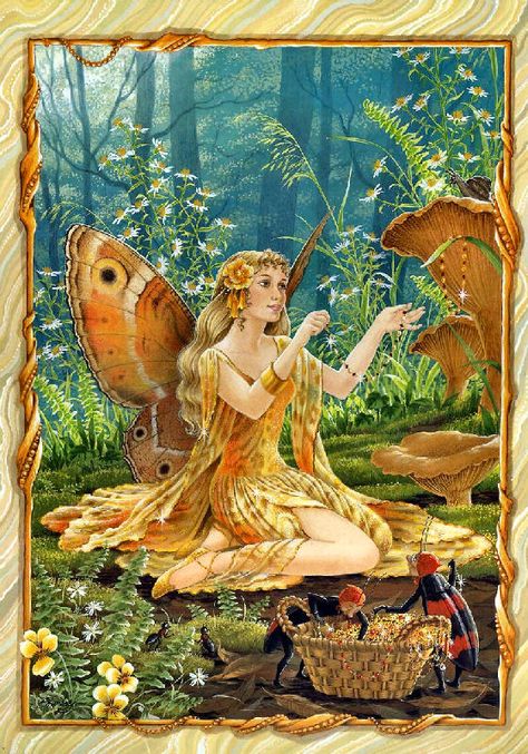 Shirley Barber fairies January Shirley Barber, Faery Art, Fairy Paintings, Fairy Pictures, Fairy Artwork, Woodland Fairy, Fairies Elves, Vintage Fairies, Flower Fairies