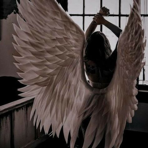 Dark Angelcore, Fallen Angel Aesthetic, Demon Core, Different Types Of Aesthetics, Only Angel, Angelcore Aesthetic, Raven Wings, Types Of Aesthetics, Angel Aesthetic