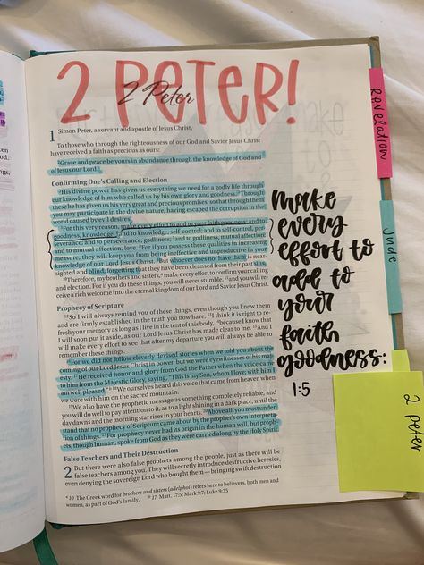 2 Peter Bible Journaling, 1 Peter Bible Journaling, Peter Bible, Proverbs Verses, Bible Summary, Bible Journal Notebooks, Bible Drawing, Journal Bible, Organization Station