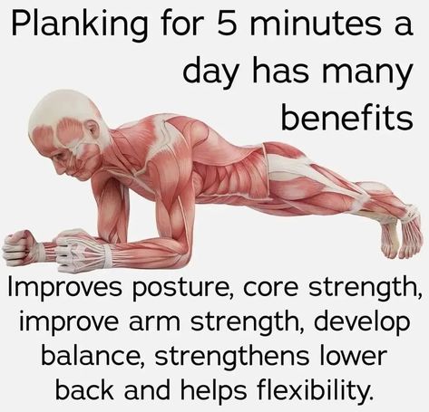 Benefits of your body doing planks everyday. Plank Everyday, Plank Benefits, 20 Minute Yoga, Plank Challenge, Plank Workout, Strong Body, Improve Posture, Core Muscles, Core Strength