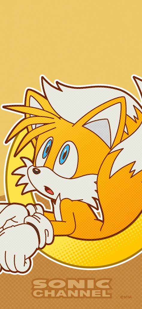 Silver The Hedgehog Wallpaper, Sonic Channel, Sonic Exe, Silver The Hedgehog, Sonic Franchise, Sonic Adventure, Sonic And Shadow, Sonic Boom, Sonic Fan Art