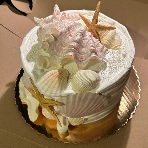 Madi Core, Beach Bday, Twenty Fine, Seashell Cake, Ocean Cakes, Vintage Birthday Cakes, Beach Cakes, Cake Inspo, Pretty Dessert