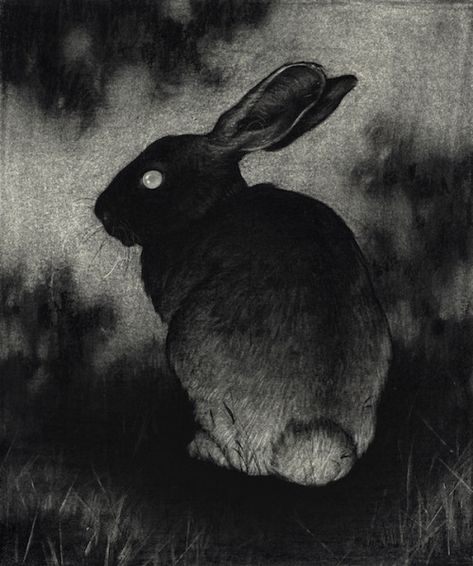 Rabbit Drawing, Black Bunny, Watership Down, Rabbit Painting, Bunny Drawing, Rabbit Art, Bunny Art, Dark Art, Dark Aesthetic