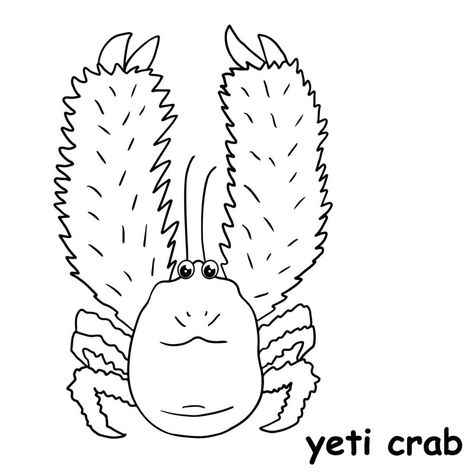 kids line illustration coloring yeti crab. outline vector for children. black and white vector illustration for coloring book Crab Outline, Yeti Crab, Black And White Vector, Kids Line, Line Illustration, Free Vectors, Images Photos, Crab, Vector Art