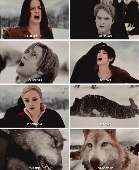 The Pack Twilight, Twilight Wolves, Twilight Wolf Pack, Twilight Facts, Twilight Wolf, Twilight Scenes, Vampire Twilight, Twilight Aesthetic, Beverly Hills Chihuahua