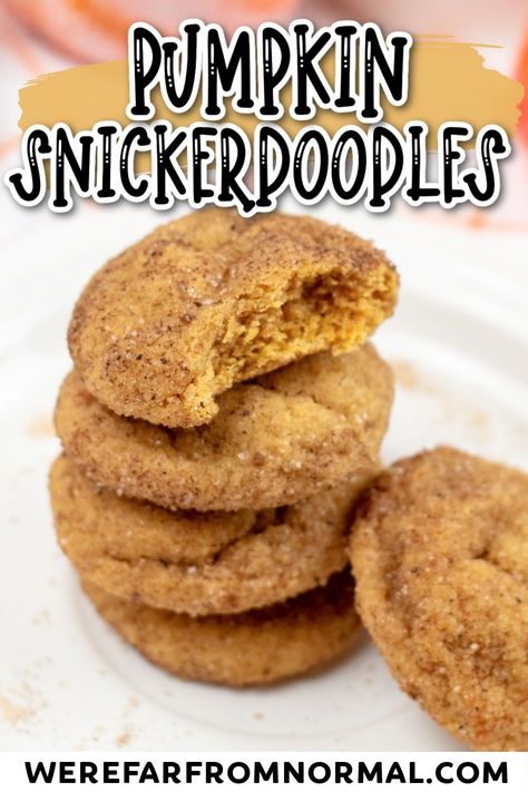 These soft chewy pumpkin snickerdoodle cookies are great for fall! Delicious pumpkin cookie dough is rolled in a cinnamon-sugar mixture to create the perfect cookies! Pumpkin Snickerdoodle Cookie Recipe, Pumpkin Snickerdoodle Cookies, Pumpkin Snickerdoodles, Snickerdoodle Cookie, Recipes Pumpkin, Frozen Pumpkin, Cinnamon Pumpkin, Snickerdoodle Cookies, Snickerdoodle Cookie Recipes