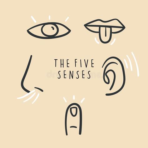 Hand drawn simple icons representing the five senses. Hand drawn doodles. Vector royalty free illustration 5 Senses Drawing, Open Hands Illustration, Five Senses Drawing, Five Senses Illustration, 5 Senses Illustration, Senses Illustration, Cleanse Ritual, Ent Clinic, Boho Icons