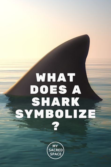 The shark spirit animal is the symbol of fearlessness, harmony, and independence. Whereas the real question is what does a shark spirit animal mean and symbolize for you? #sharkspiritanimal #sharkspiritanimalmeaning #sharkspiritanimaltatoo #sharkspiritanimalart #greatwhitesharkspiritanimal #whalesharkspiritanimal #hammerheadsharkspiritanimal #sharkspiritualmeaning #sharktoothspiritualmeaning #spiritualsharktatoo #spiritualshark #sharksymbol #sharksymbolism #sharksymbolismmeaning #symbolforshark What Is Your Shark Name, Spiritual Shark Tattoo, Shark Symbolism, Shark Finning Awareness, Shark Meaning, Shark Spiritual Meaning, Shark Spirit Animal, Fun Facts About Sharks, Find Your Spirit Animal