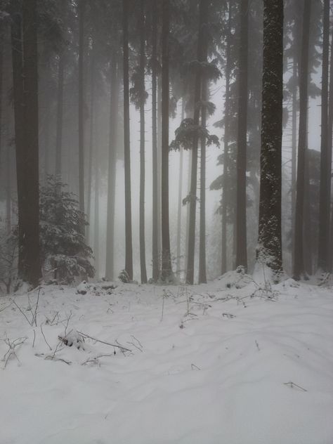 Dark Snowy Mountains, Snowy Woods Night, Snow Woods Aesthetic, Forest Snow Aesthetic, Snowy Mountain Forest, Snowy Kingdom Aesthetic, Snowy Woods Aesthetic, Snowy Mountain Aesthetic, Snowy Forest Aesthetic