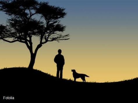 Silhouette of man and dog at sunset Hand Painted Bible Cover, Most Inspirational Quotes, Wood Burning Stencils, Hand Painted Bible, Mother Teresa Quotes, Blue Heeler Dogs, Silhouette Painting, Bible Covers, Man And Dog