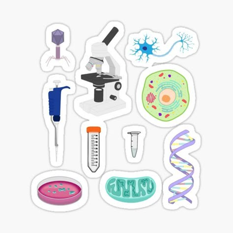 "Biology pack" Sticker for Sale by emm416 | Redbubble Cute Biology Stickers, Biology Stickers, Human Body Organs, Diy Photo Book, Science Stickers, Medical Laboratory Science, Picture Editing Apps, Stickers Cute, Biochemistry