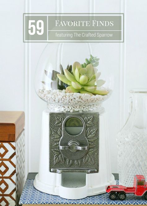 Succulent Arrangements Diy, Inexpensive Diy Gifts, Gum Machine, Bubble Gum Machine, Succulent Ideas, Gumball Machines, Diy Arrangements, Succulents In Containers, Trendy Home Decor