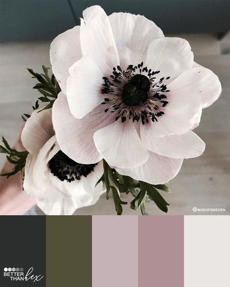 No matter the season, paint colors are always in bloom. Imagine this pretty palette from @anemone incorporated into a bedroom or bathroom, whether on walls or in the decor. (Relaxation is sure to follow.) To bring these hues into your home, visit your nearest Sherwin-Williams store and pick up Tricorn Black SW 6258, Secret Garden SW 6181, Chaise Mauve SW 6016, Thistle SW 6283 and Futon SW 7101. #sherwinwilliams #paintcolors #flowers #colorinspiration #pink #mauve #olive #black Mauve Bathroom, Mauve Bedroom, Paint Themes, Color Palette Inspiration, Colour Swatches, Hex Color, Color Palette Ideas, Black Color Palette, Hex Color Palette