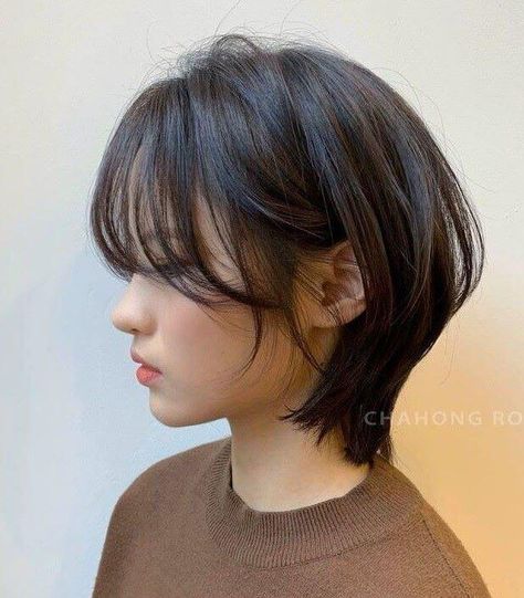 Korean Short Hair, Asian Short Hair, Hair Inspiration Short, Pinterest Hair, Stylish Haircuts, Shot Hair Styles, Hair Haircuts, Haircuts For Medium Hair