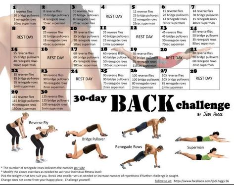 30 Day Back Challenge, 30 Day Arm Challenge, 30 Day Arm, Challenge 30 Day, Back Challenge, Beginner Fitness, Core Workout Videos, Month Workout Challenge, Arm Challenge