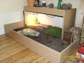 Russian Tortoise Table idea for my future Russian tortoise Tortellini Tortoise Diet, Turtle Enclosure, Russian Tortoise Diet, Tortoise House, Tortoise Table, Tortoise Enclosure, Animal Habitat, Russian Tortoise, Tortoise Care