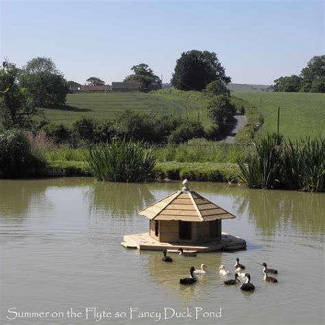 The Floating Duck Lodge Pond Animals, Ducks Coop, Floating Duck House, Duck House Diy, Goose Pond, Duck House Plans, Duck Island, Goose House, Pond Animals, Duck Coop