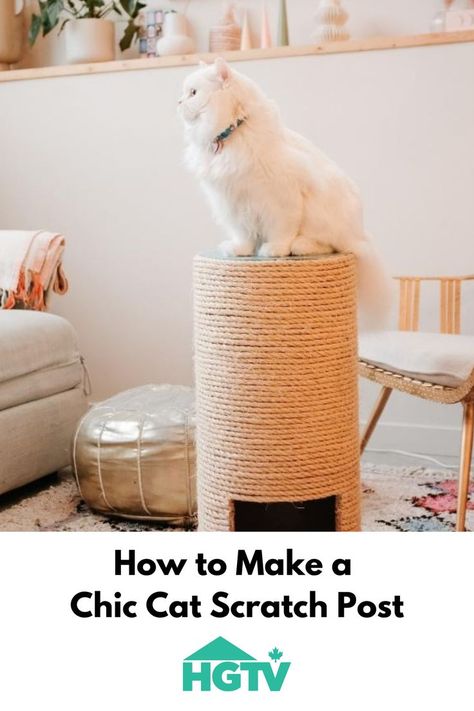 Cat standing on a scratch post Diy Cat Scratching Post, Cat Scratch Post, Cat Climbing Frame, Kitty Baby, Cat Scratch, Cat Furniture Diy, Cat Scratching Post, Cat Climbing, Diy Cat