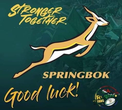 Springbok Logo, Bokke South Africa, Springbok Tshirt, Springboks Rugby South Africa Wallpaper, Springbok Rugby Wallpaper, Springbokke Rugby, Go Bokke Rugby, Go Bokke, Springbok Rugby Funny