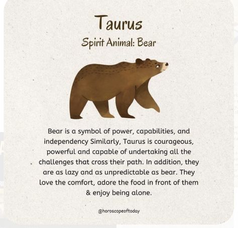 Taurus Spirit Animal, Bear Spirit Animal, Zodiac Signs Animals, Spirit Animal Meaning, Star Sign Art, Animal Meanings, Witch Signs, Zodiac Signs Chart, Spiritual Animal