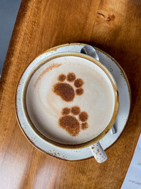 Cat Coffee Aesthetic, Bear Cafe Aesthetic, Cat Cafe Food, Cat Cafe Ideas, Cat Latte Art, Cat Cafe Aesthetic, Cat Coffee Shop, 3d Latte Art, Mocha Drink