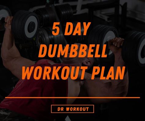 30 Day Dumbbell Workout, Dumbbell Workout Plan Men, Dumbell Workout Plan For Women, Workout Split 5 Day Women Dumbbell, Men’s Workout Plan, 5 Day Dumbbell Workout Plan, Dumbell Workout Plan, Dumbell Workout Routine, Full Body Dumbbell Workout For Men