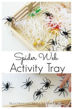 Spider Web Activity Tray for open ended exploration, learning, and fun in your preschool classroom! Spider Web Activity, Free Preschool Lesson Plans, Halloween Theme Preschool, The Very Busy Spider, Spider Activities, Lesson Plan Ideas, Web Activity, Spider Theme, Sensory Tray