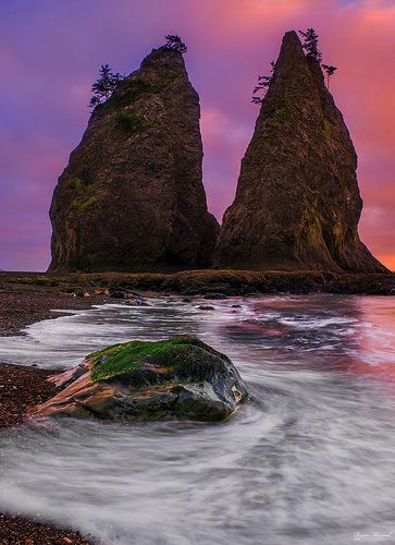 Sabertooth Seastacks - Olympic National Park, Washington Rialto Beach, Olympic National Park Washington, Evergreen State, Olympic National Park, Rock Formations, Belleza Natural, Washington State, Natural Wonders, Beautiful World