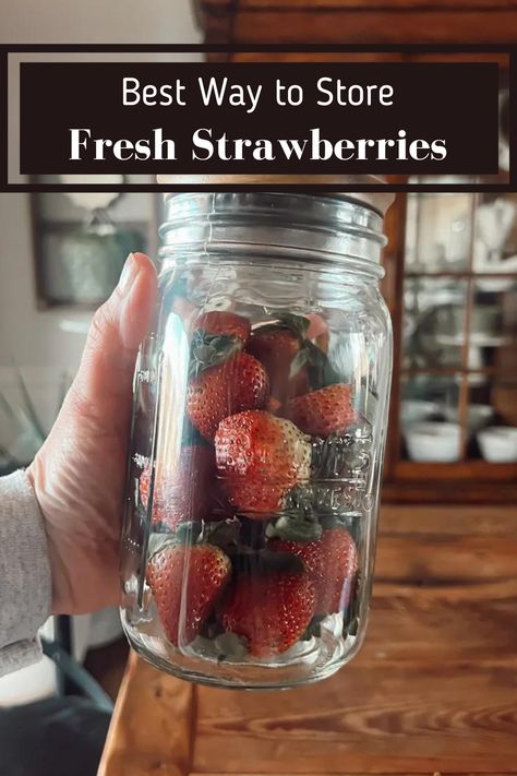 I'm going to show you a way to extend the shelf life of strawberries so that you can enjoy them for up to 10 days or more. Yes, that's right! Strawberries can last up to two weeks in the refrigerator when stored this way! All you will need is a little vinegar, a mason jar with an air tight lid, and the strawberries! Keep reading to learn the best way to store fresh strawberries! Ninnescah Homestead, Small Shoe Storage, Store Strawberries, Natural Household Products, How To Store Strawberries, Cheesecake Tarts, Strawberry Rhubarb Crisp, Cut Strawberries, Rhubarb Crisp