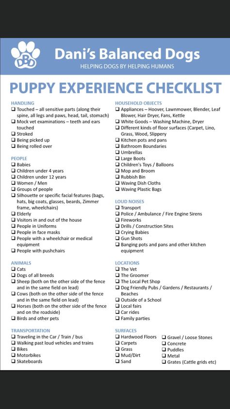 Dog Training Checklist, Puppy Training Checklist, Dog Training Schedule Planner, Dog Training Plan, Doberman Puppy Training, Puppy Schedule, Behavior Tips, Puppy Training Schedule, New Puppy Checklist