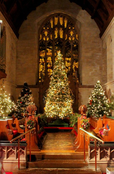 Christmas in Church Church At Christmas, Marry Xmas, Secular Christmas, Christmas Tree Festival, Green Rabbit, Christmas Dreaming, Christmas Mix, Beautiful Churches, Christmas Church