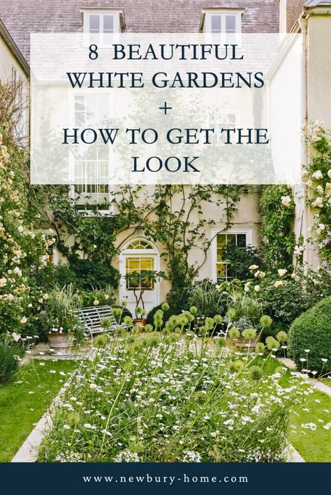 Cottage Exterior Landscaping, Landscaping With White Flowers, Classic Landscaping Front Yards, White And Green Garden Ideas, Modern Victorian Garden, White Roses Landscape, Pink And White Garden Ideas, Hamptons Front Yard, Blue White Garden