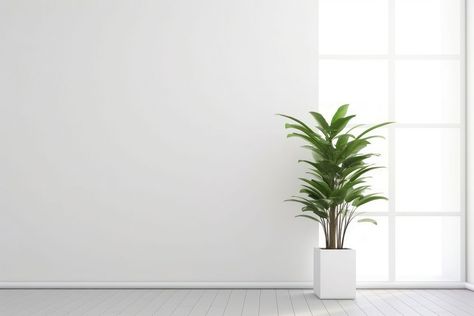 White Zoom Background, Zoom Background Office, Plant Architecture, Background Zoom, Office House, Office Background, Zoom Background, Architecture Background, House Wall