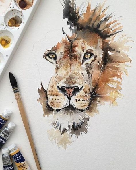 Flatlay Photography, Lion Painting, Photography Backgrounds, Lion Art, Photography Lifestyle, Photography Lighting, Photography Instagram, Watercolor Drawing, Watercolor Animals