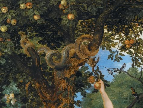 // achasma: “the garden of eden with the fall of man (detail) by peter paul rubens and jan brueghel the elder, 1615. ” The Fall Of Man, Kinds Of Snakes, Fall Of Man, The Falling Man, Paul Rubens, The Garden Of Eden, Paradise Lost, Forbidden Fruit, Peter Paul Rubens