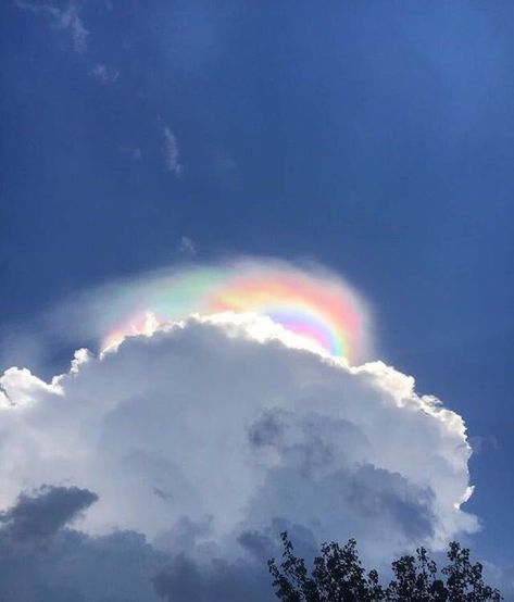 Whimsical Clouds, Drawing Sky, Rainbow Drawing, Fear Of Love, Fire Rainbow, Nature Instagram, Aesthetic Sky, Atmospheric Phenomenon, Rainbow Cloud