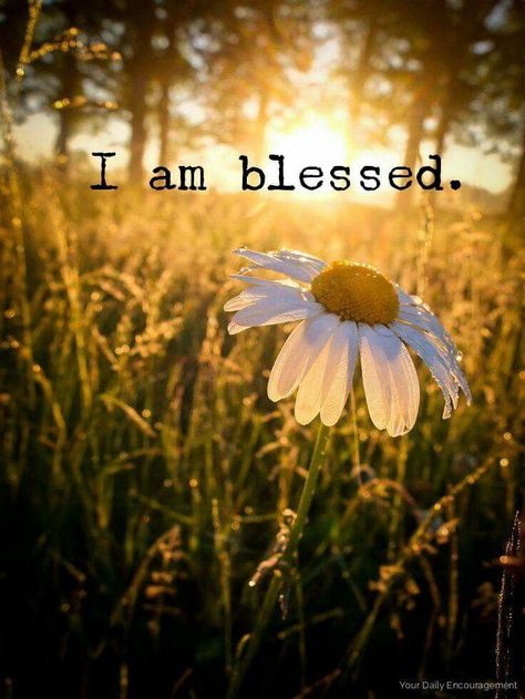 Amen, in Jesus name I accept my blessings of desires in abundance of immeasurable proportion, I accept salvation by confessing with my mouth that you my Lord Jesus, King of kings are my Lord and Savior, my God, because of you father everything I speak come to be true. Woord Van God, Ayat Alkitab, Jolie Photo, Jesus Loves Me, Spiritual Inspiration, Mellow Yellow, Verse Quotes, Jesus Loves, God Is Good