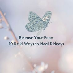 #reiki #reikirays #energy #vibrations #freshvibes #goodvibes #healing #reikihealing #releasefear #healkidneys Heal Kidneys, Angel Moodboard, Reiki Benefits, Facial Reflexology, Healing Leaky Gut, Reiki Massage, Meridian Energy, Reiki Practice, Reiki Principles