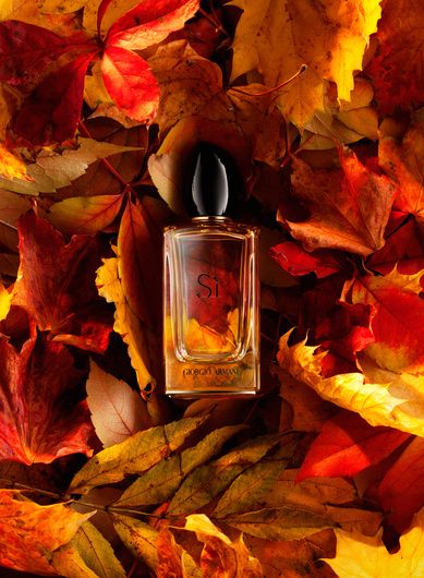 "Autumn" by Nazar Andriychuk #fstoppers #Product #stilllife #autumn #leaves #Commercial #armani #Si #perfume #nazarandriychuk Halloween Candle Photography, Autumn Cosmetics Photography, Autumn Perfume Photography, Halloween Product Photoshoot, Autumn Advertising, Candle Photoshoot, Halloween Shoot, Perfume Versace, Autumn Skincare