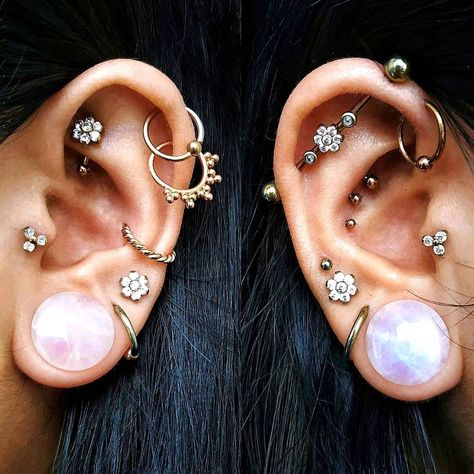 Nicole Tosoc on Instagram: “Rose Quartz Magic 🔮 . . . #piercings #piercing #earpiercings #curatedear #stretchedears #conchpiercing #traguspiercing #rookpiercing…” How To Stretch Ears, Piercing Setup, Stretch Ears, Gauges Jewelry, Ear Stretching, Cool Ear Piercings, Multiple Ear Piercings, Cool Piercings, Cute Ear Piercings