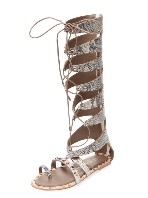 Sorcerer Tall Gladiator Sandal by Ivy Kirzhner $259 Tall Gladiator Sandals, Tan Gladiator Sandals, Knee High Gladiator Sandals, Lace Up Gladiator Sandals, Gladiator Shoes, Flat Gladiator Sandals, Roman Sandals, Womens Gladiator Sandals, Lace Up Sandals