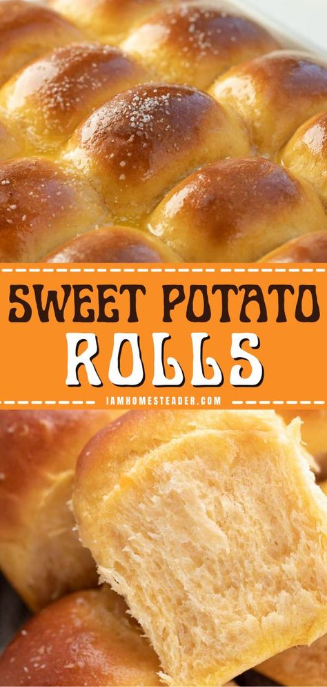 Potato Yeast Rolls, Sweet Potato Roll, Potato Roll Recipe, Potato Yeast, Sweet Potato Rolls Recipe, Potato Dinner Rolls, Potato Rolls Recipe, Traditional Bread Recipe, Sweet Potato Rolls