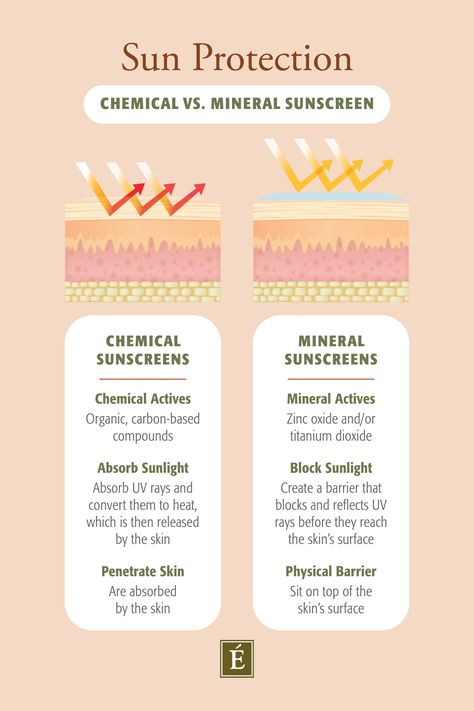 Mineral Vs. Chemical Sunscreen: The Best Choice According To Derms Coconut Shampoo And Conditioner, Spa Recipes, Coconut Shampoo, Mary Kay Skin Care, Product Knowledge, Daily Sun, Tinted Spf, Physical Sunscreen, Chemical Sunscreen